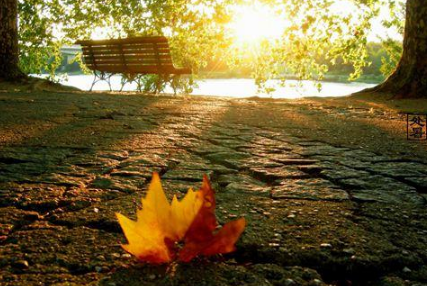 俗语说的&ldquo;秋老虎&rdquo;指的是什么？处暑有哪些习俗？