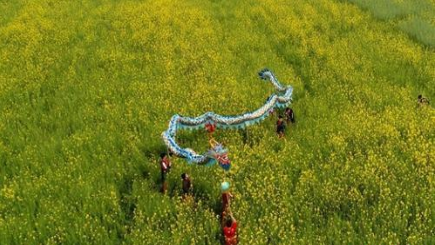 二月二为什么是龙抬头 起源可以追溯到什么时代