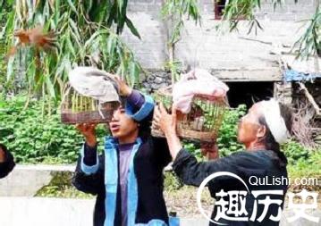 瑶族大年初二的“赶鸟节”究竟有啥历史来源