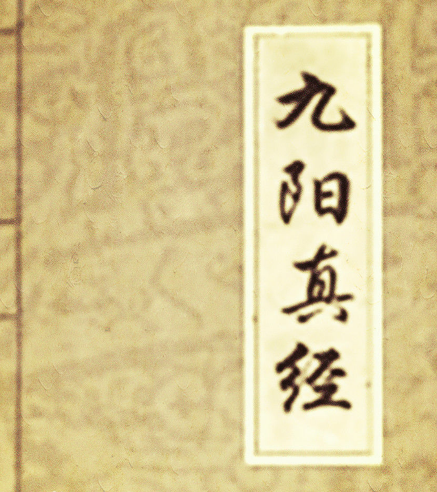 九阳神功简介 该秘籍在原著中的内容是什么样的