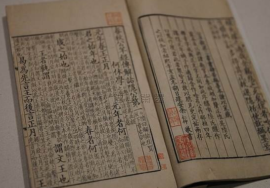 何休是谁?东汉今文经学家何休生平简介