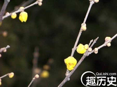 古代皇帝立春需行“籍田礼” :最早可追溯至西周