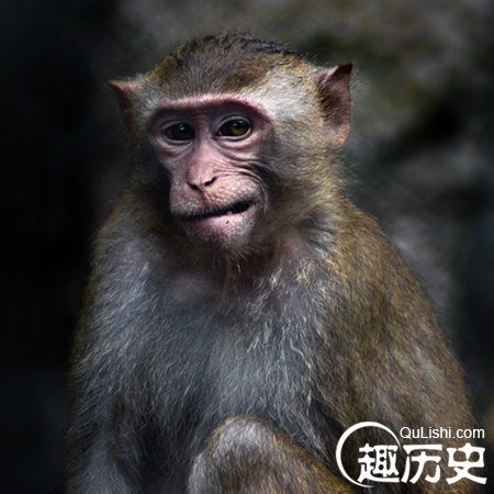 成语不以为然的误读:其实表示的是对事情不同意