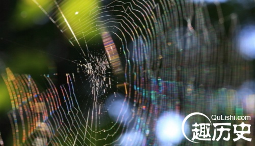蛛丝马迹词源考:蛛丝马迹中的马指马还是别的?