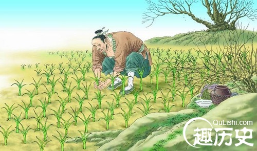成语揠苗助长的意思是什么？揠苗助长典故简介